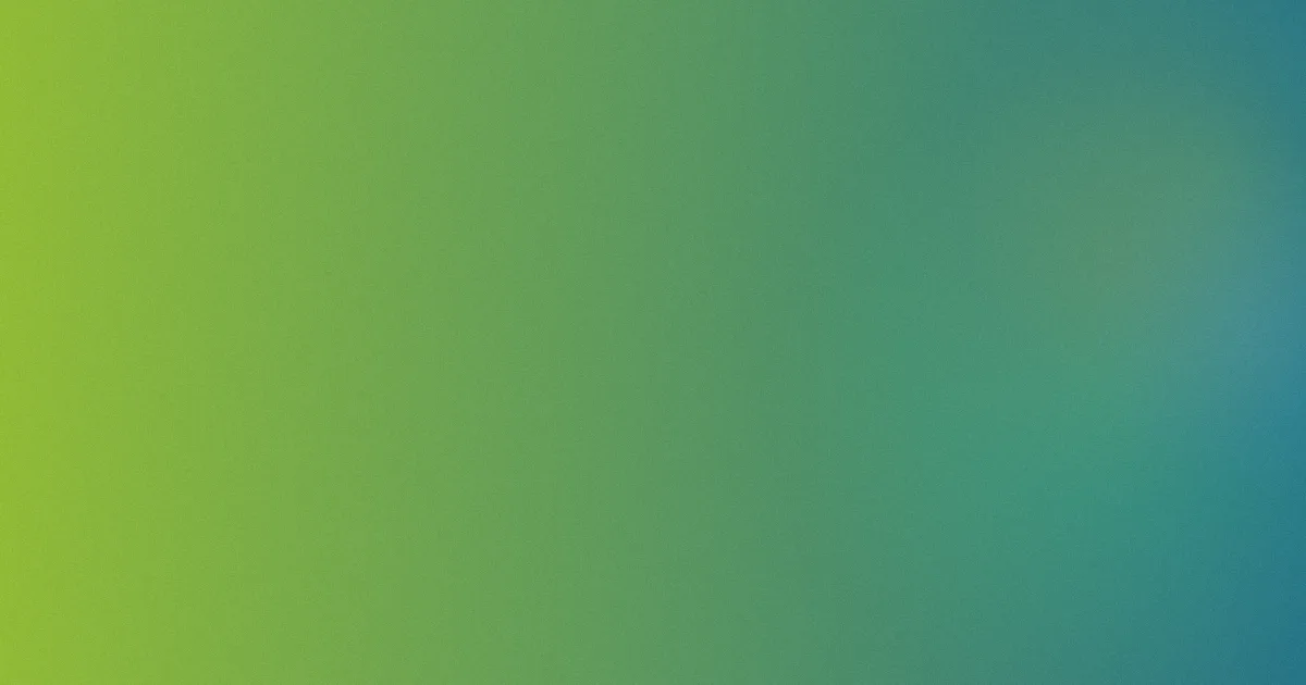 张伟平推荐：新手入门清单